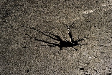 Buz soğuk Rozmberk gölet Güney Bohemya'da taşa tarafından delik