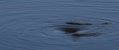 Mavi su ve portakal sopa ile Rozmberk havuzda Jakuzi