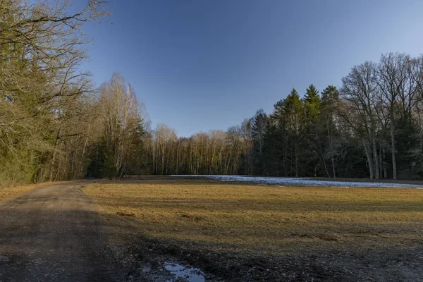 Pad en kleur weide in winterdag in de buurt van Rozmberk vijver in Zuid-Bohemen — Stockfoto