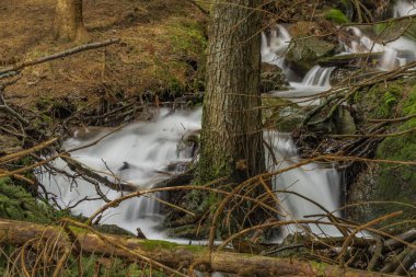 Krusne Dağları bahar gününde güzel dere büyük bahar suyu