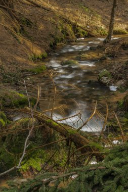 Krusne Dağları bahar gününde güzel dere büyük bahar suyu