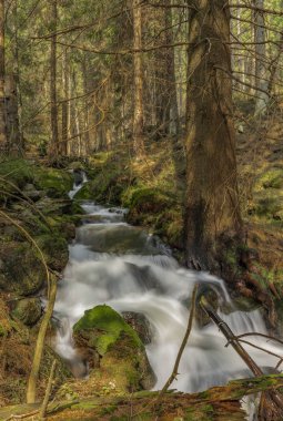 Krusne Dağları bahar gününde güzel dere büyük bahar suyu
