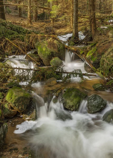 Großes Quellwasser am schönen Bach am Frühlingstag im Krusne-Gebirge — Stockfoto