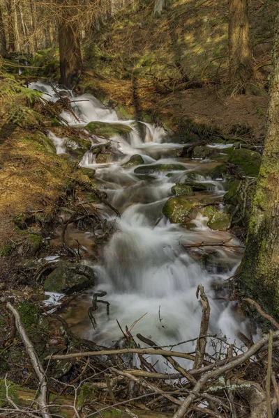 Großes Quellwasser am schönen Bach am Frühlingstag im Krusne-Gebirge — Stockfoto