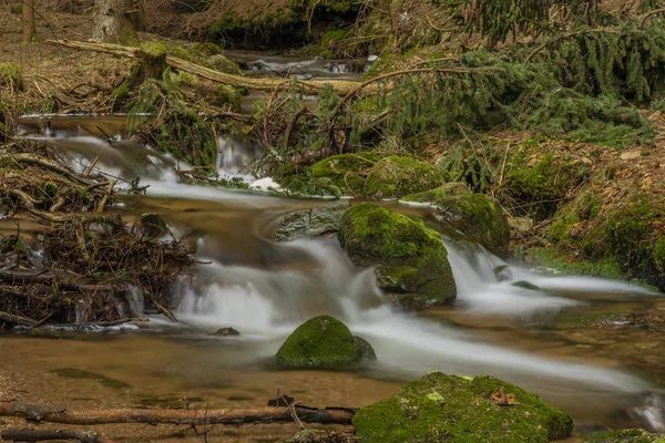 Nagy forrásvíz a szép patakon a tavaszi napon Krusne-hegységben — Stock Fotó