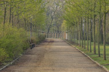 Zwickau şehirde Schwanenteich gölet yakınında Bahar güneşli sabah