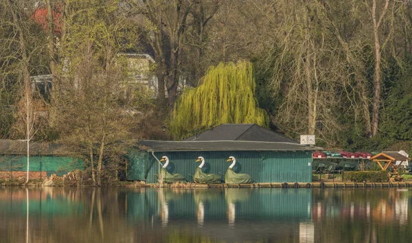 Spring sunny morning near Schwanenteich pond in Zwickau city — Stock Photo, Image