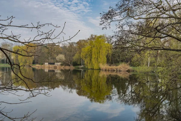 Spring sunny morning near Schwanenteich pond in Zwickau city — Stock Photo, Image