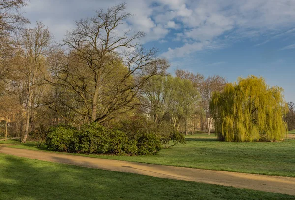 Spring sunny morning near Schwanenteich pond in Zwickau city — Stock Photo, Image