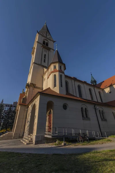 Kerk van St. Jan Nepomucky in Ceske Budejovice stad in Zuid-Bohemen — Stockfoto