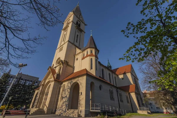 Kerk van St. Jan Nepomucky in Ceske Budejovice stad in Zuid-Bohemen — Stockfoto