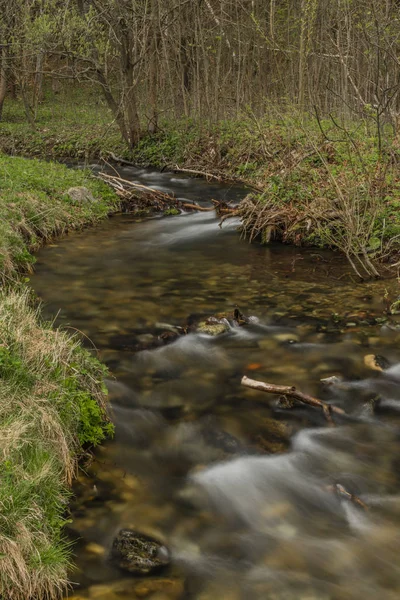 Río Branna en primavera noche nublada con hierba verde fresca — Foto de Stock