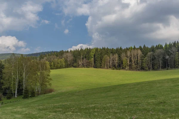 Green meadows in spring sunny cloudy day near Branna town in Jeseniky mountains — Stock Photo, Image