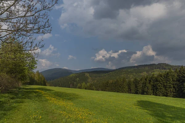 Grüne Wiesen im Frühling sonnig bewölkt Tag in der Nähe von Branna Stadt in jeseniky Berge — Stockfoto