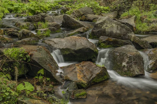 Frühling kleiner Fluss olesnice in der Nähe von zlate hory Stadt — Stockfoto