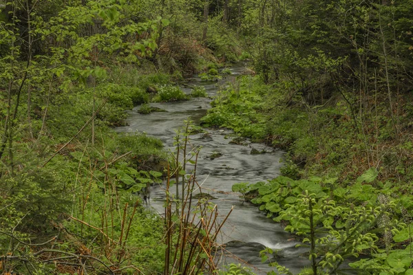 Lente kleine rivier Olesnice in de buurt van Zlate Hory town — Stockfoto