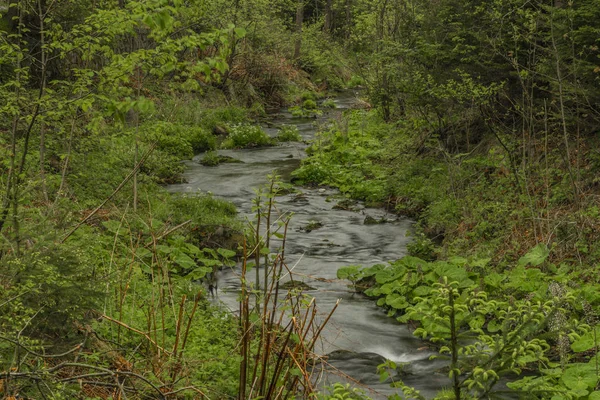 Primavera pequeño río Olesnice cerca de la ciudad de Zlate Hory — Foto de Stock