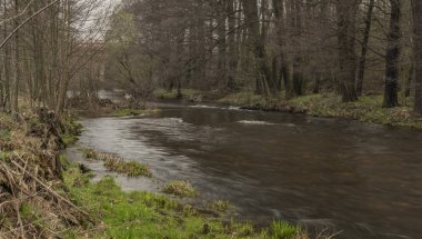 Batı Bohemya Sokolov kasaba yakınlarındaki Svatava nehri