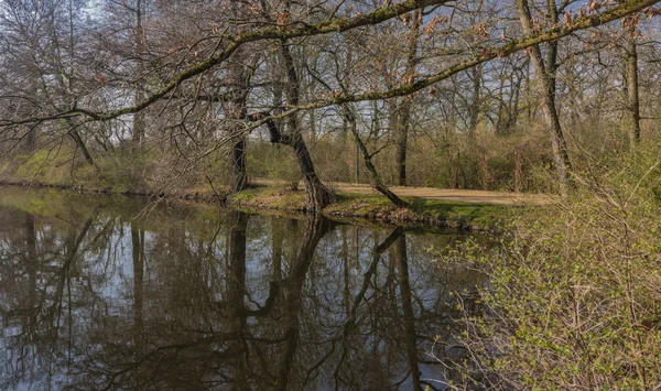 Spring sunny morning near Schwanenteich pond in Zwickau city — Stock Photo, Image