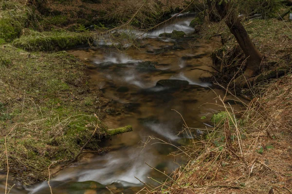 Gran agua de manantial en el bonito arroyo en el día de primavera en las montañas de Krusne —  Fotos de Stock