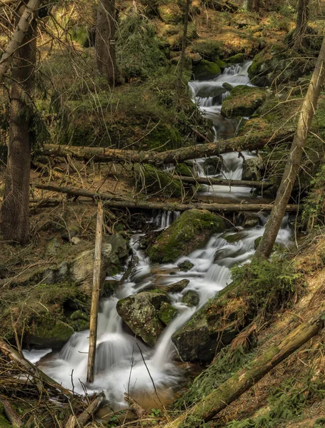 Großes Quellwasser am schönen Bach am Frühlingstag im Krusne-Gebirge — Stockfoto