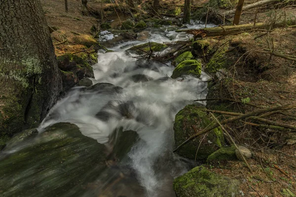 Velká pramenitá voda na hezkého potoka v jarním dnu v pohoří Krusne — Stock fotografie