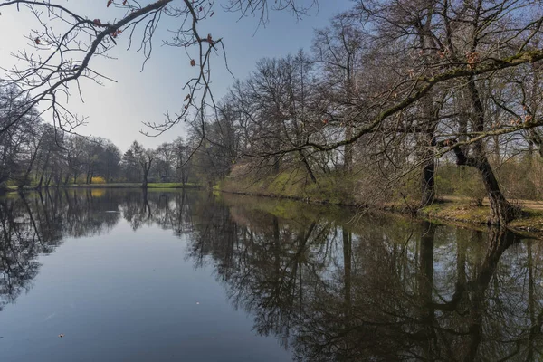 Spring sunny morning near Schwanenteich pond in Zwickau city — Stock Photo, Image