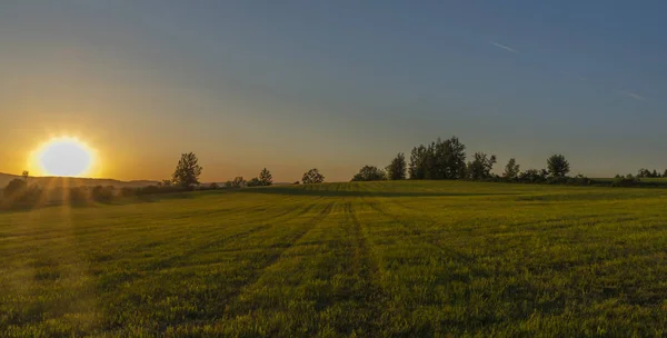 Atardecer amarillo en el campo de hierba verde cerca de Roprachtice pueblo — Foto de Stock