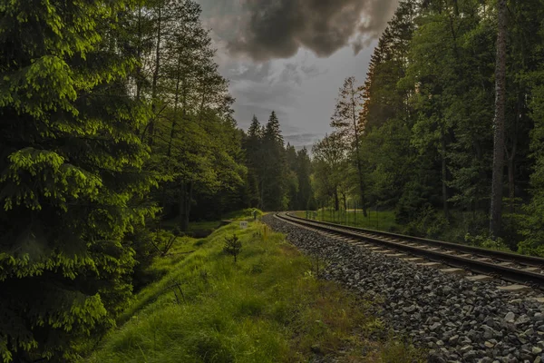 Bahar rengi akşam gün batımı ile demiryolu parça