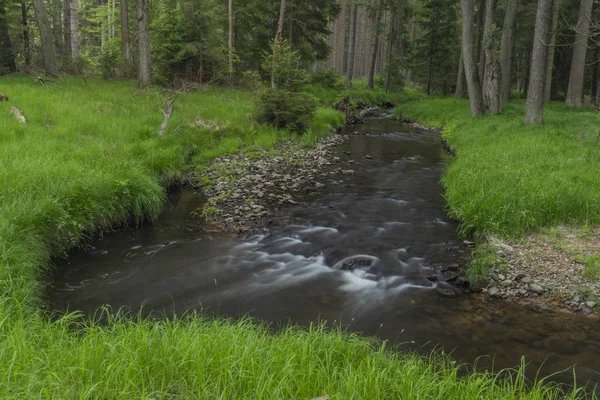 Fluss Kamenice in Farbe schöner sonniger Frühlingsabend — Stockfoto