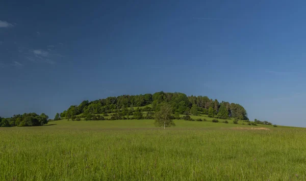 Campos prados pastagem terra no parque nacional na manhã de cor de primavera — Fotografia de Stock