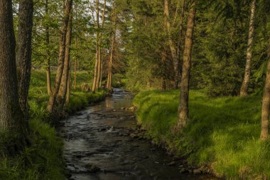 River Kamenice renkli güzel güneşli bahar akşamı