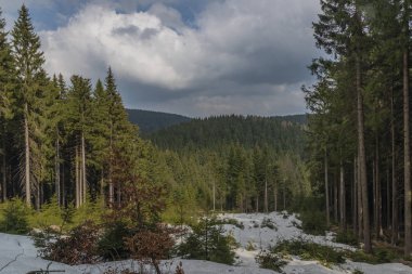 Krusne dağlarında Passhohe Muhlleithen köyü yakınlarında Almanya'da Manzara