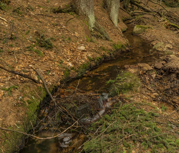 Przejazd potoku w górach Krusne w północnych Czechach w dniu wiosny — Zdjęcie stockowe
