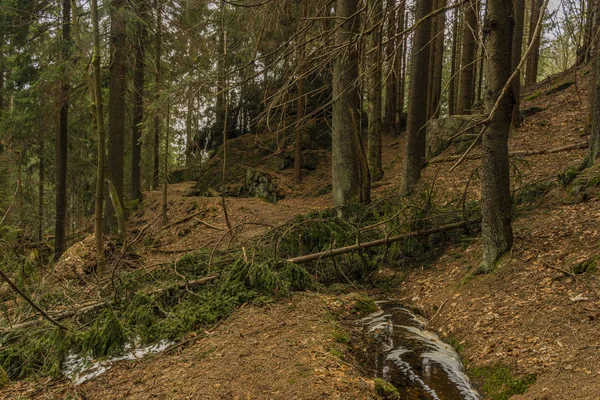 Conduite du ruisseau dans les montagnes Krusne dans le nord de la Bohême au printemps — Photo