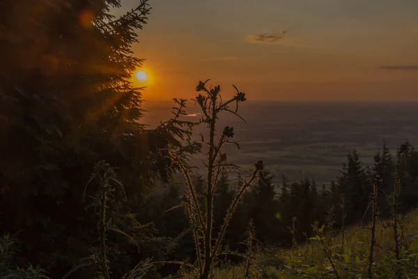 Színes nyári naplemente kilátás Javorovy hegy felett Trinec város — Stock Fotó