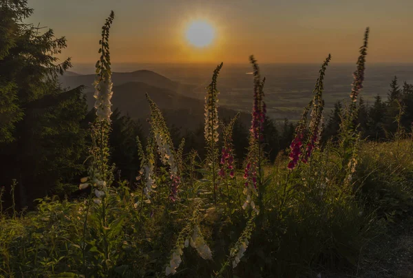 Kleur zomer zonsondergang uitzicht vanaf Javorovy Hill over Trinec town — Stockfoto