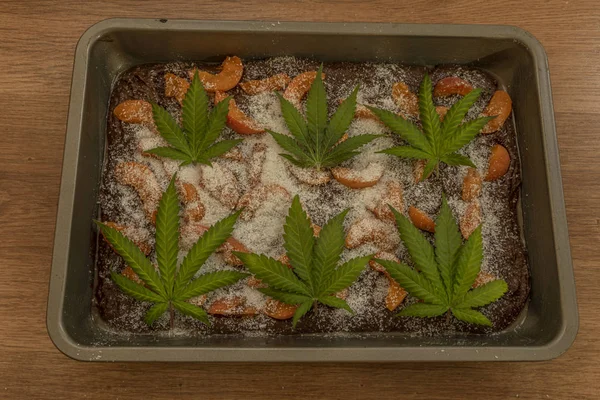 Kokosnoot abrikoos marihuana brownies gebakken in oven — Stockfoto