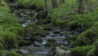 Sokolov kasabası yakınlarındaki Krusne dağlarında yaz güzel sabah Bystrina dere