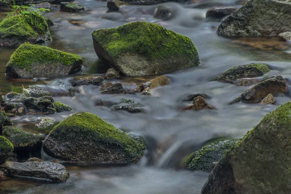 Bystrina creek in summer nice morning in Krusne mountains near Sokolov town — Stock Photo, Image