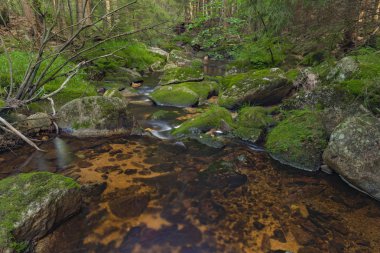 Yaz güzel güneşli bir günde Krusne dağlarında Skrivan deresi