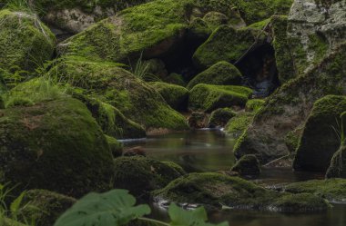 Yaz güzel güneşli bir günde Krusne dağlarında Skrivan deresi