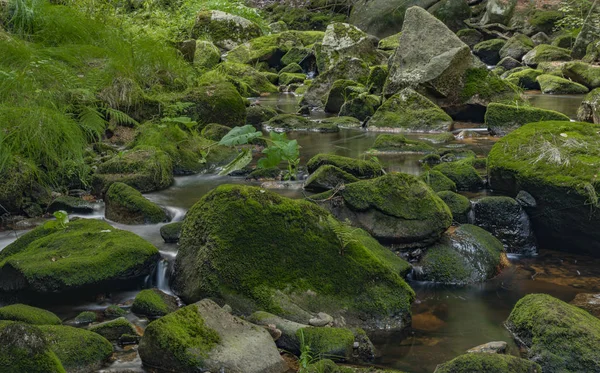 Yaz güzel güneşli bir günde Krusne dağlarında Skrivan deresi