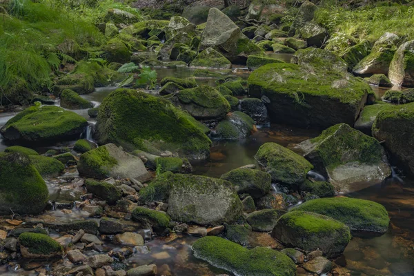 Skrivan Bach im Krusne Gebirge im Sommer schöner sonniger Tag — Stockfoto