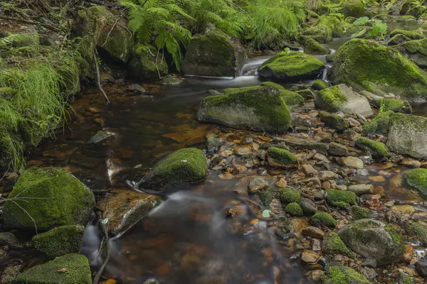 Skrivan Bach im Krusne Gebirge im Sommer schöner sonniger Tag — Stockfoto