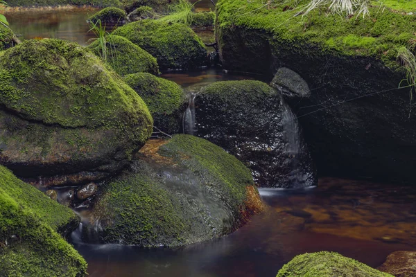 Skrivan Bach im Krusne Gebirge im Sommer schöner sonniger Tag — Stockfoto