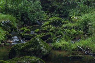 Yaz güzel güneşli bir günde Krusne dağlarında Skrivan deresi