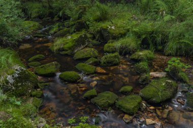 Yaz güzel güneşli bir günde Krusne dağlarında Skrivan deresi