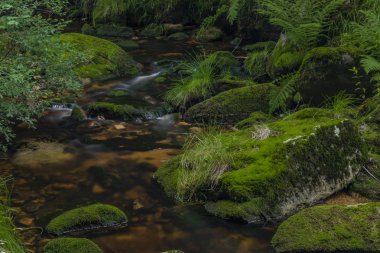 Yaz güzel güneşli bir günde Krusne dağlarında Skrivan deresi