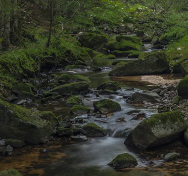 Yaz güzel güneşli bir günde Krusne dağlarında Skrivan deresi